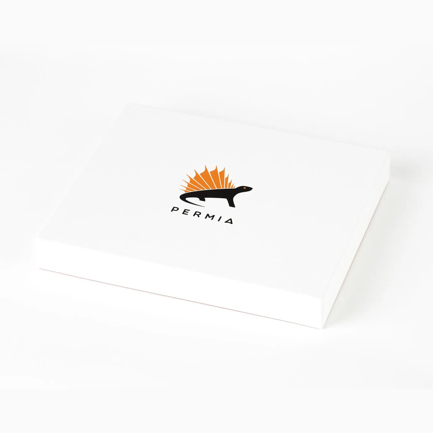 Signature Permia Dinosaur Gift Box
