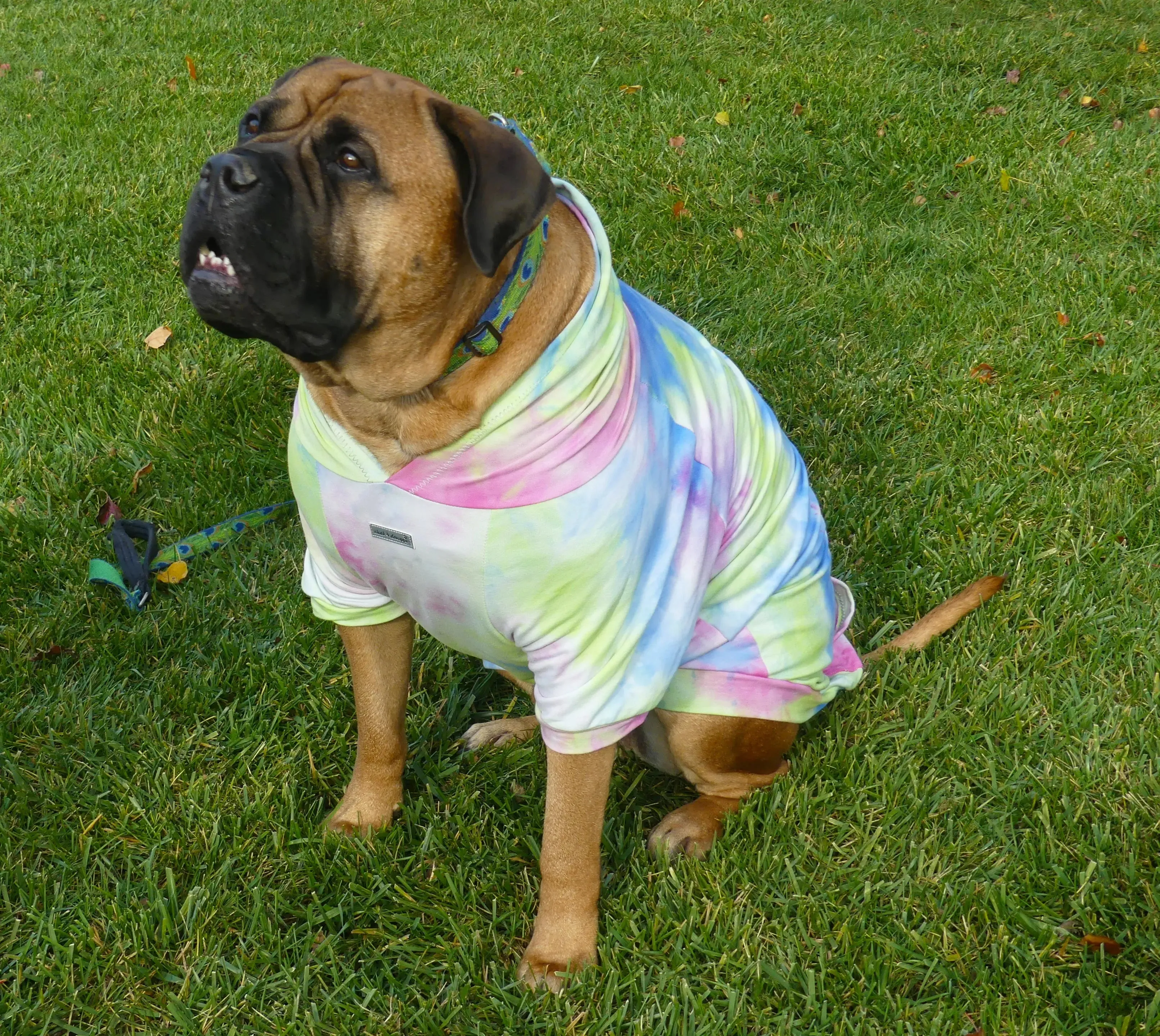 Tie Dye Dog Hoodie Cotton French Terry 4 LB to 100  LBS - ****FINAL SALE ****