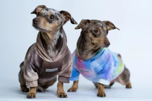 Tie Dye Dog Hoodie Cotton French Terry 4 LB to 100  LBS - ****FINAL SALE ****
